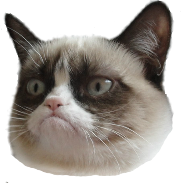 Grumpy Cat Head Transparent Background.png PNG Image