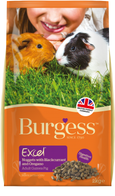 Guinea Pig Foodwith Blackcurrant PNG Image