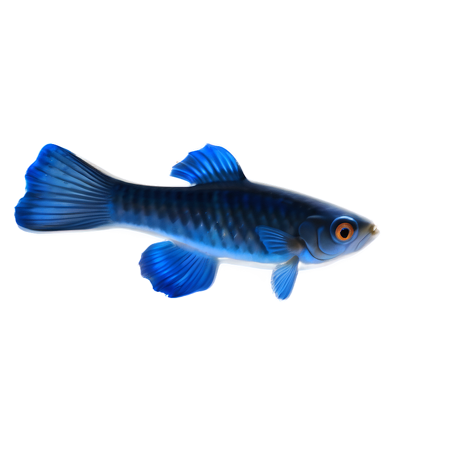 Guppy Fish Shadow Png 58 PNG Image