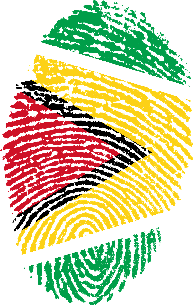 Guyana Flag Fingerprint Art PNG Image