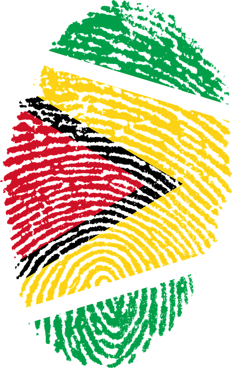 Guyana Flag Fingerprint Art PNG Image