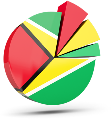 Guyana Flag Pie Chart3 D Render PNG Image