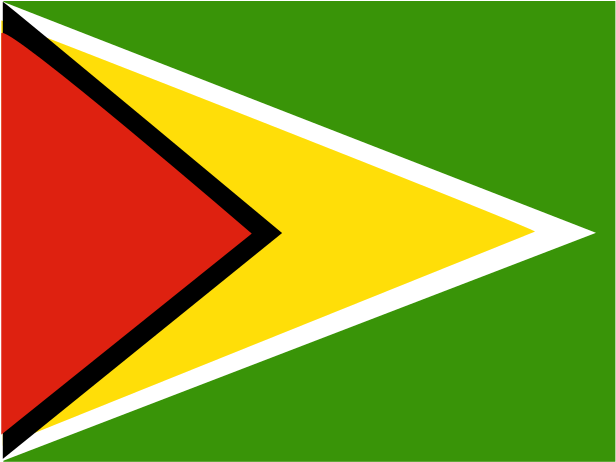 Guyana National Flag PNG Image