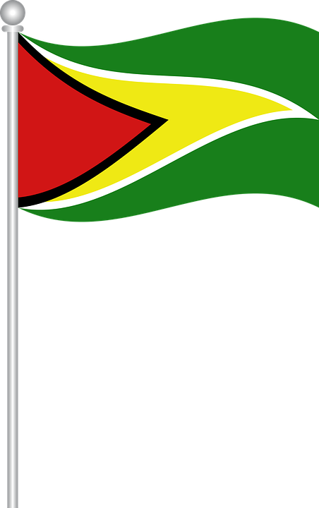 Guyana National Flag Waving PNG Image