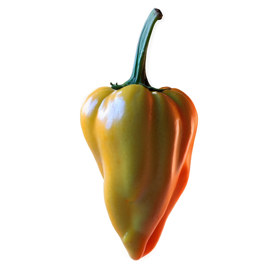 Habanero B PNG Image