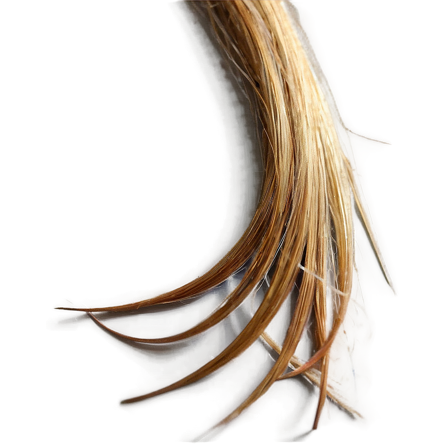 Hair Strand B PNG Image