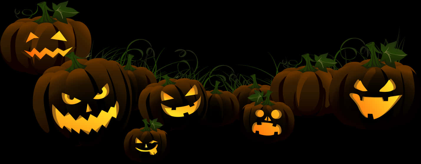 Halloween Pumpkin Lineup PNG Image