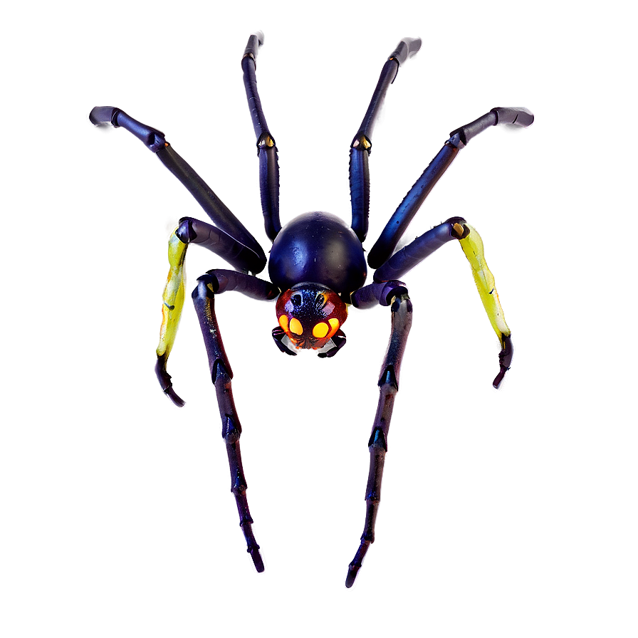 Halloween Spider Png Ieo16 PNG Image