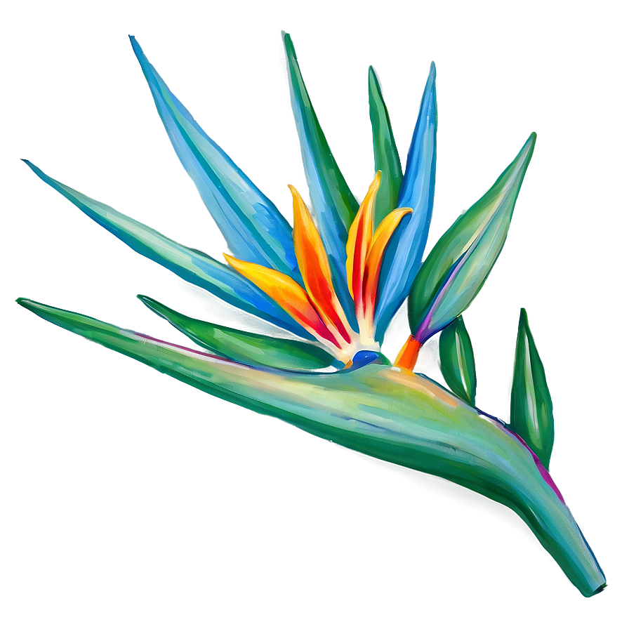 Hand-drawn Bird Of Paradise Png Etk PNG Image