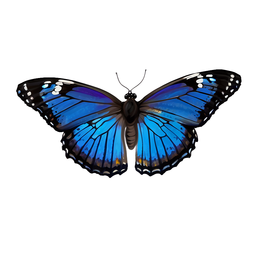 Hand Drawn Blue Butterflies Png Pbj PNG Image