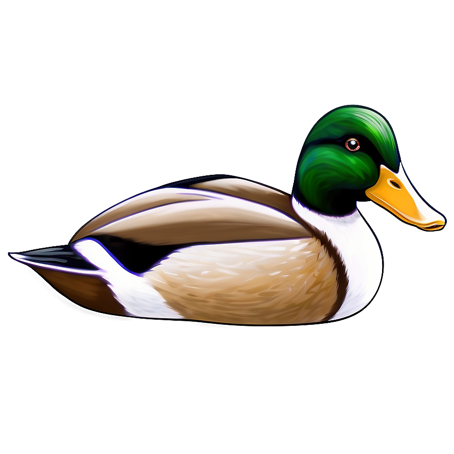 Hand Drawn Duck Sketch Png 9 PNG Image