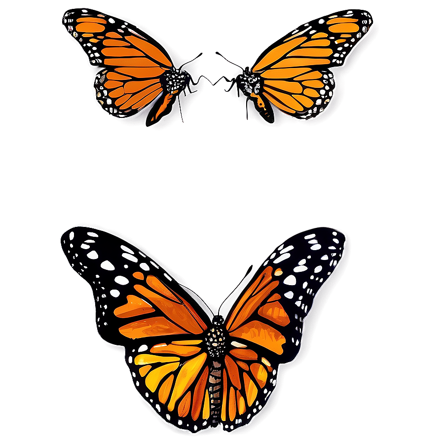 Hand Drawn Monarch Butterflies Png 17 PNG Image