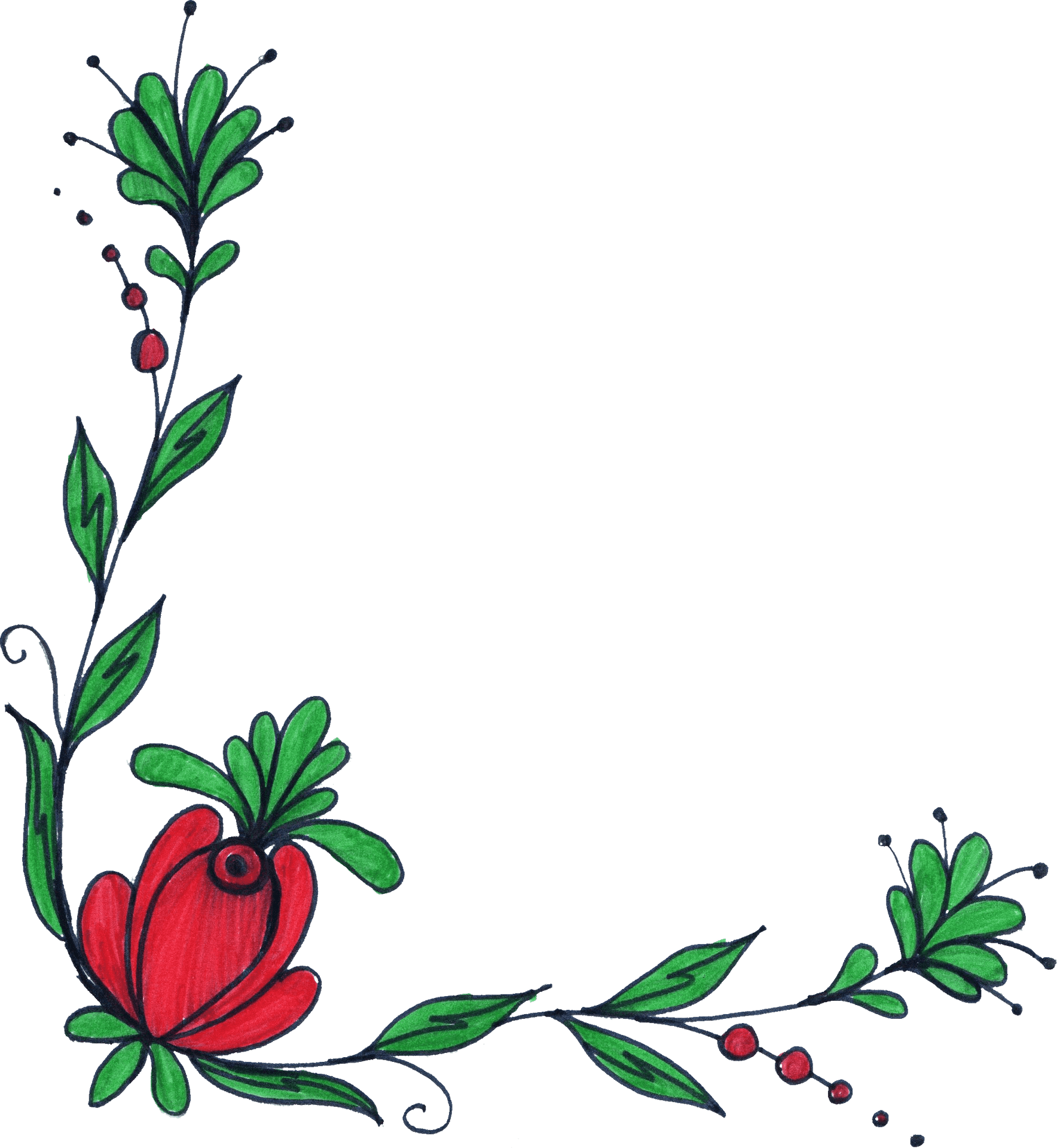 Hand Drawn Red Flowerand Green Leaves PNG Image