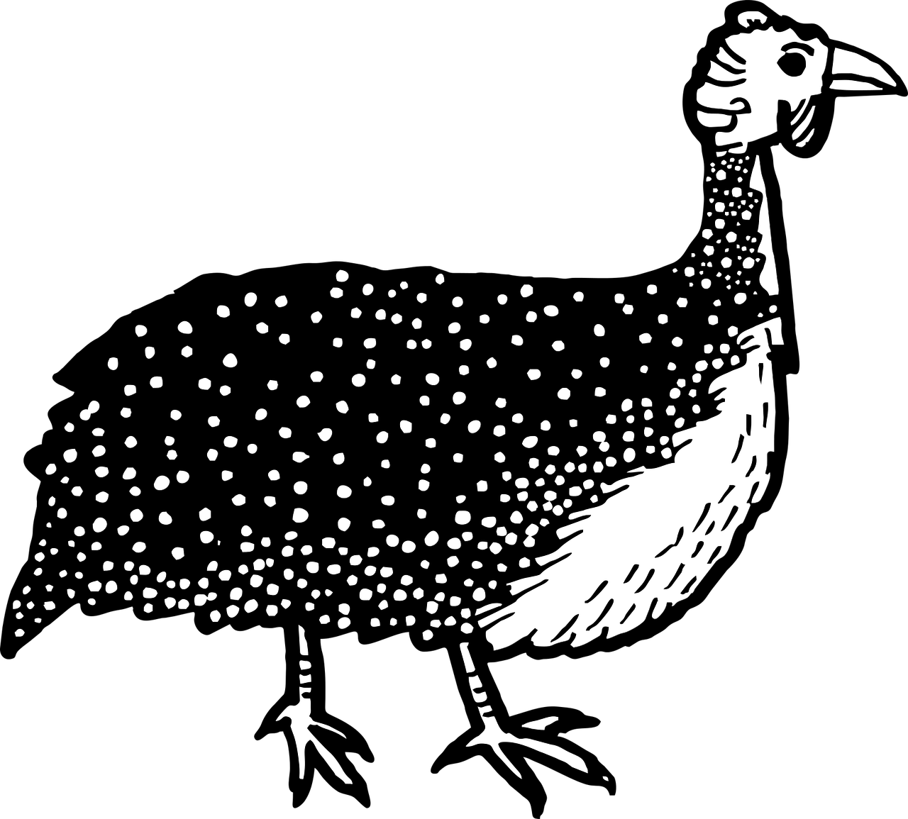 Hand Drawn Spotted Black Bird PNG Image