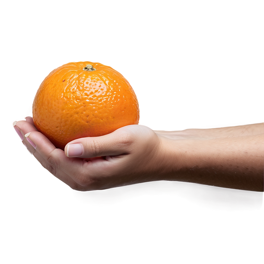 Hand Holding Orange Png 31 PNG Image