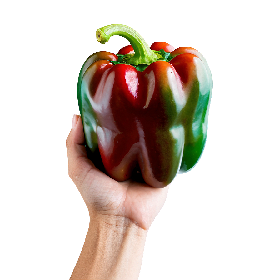 Hand Holding Pepper Png Qah PNG Image