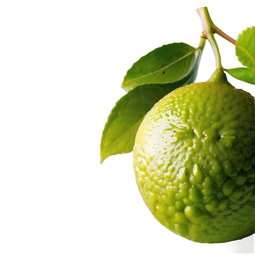 Hand-squeezed Lime Juice Png 05242024 PNG Image