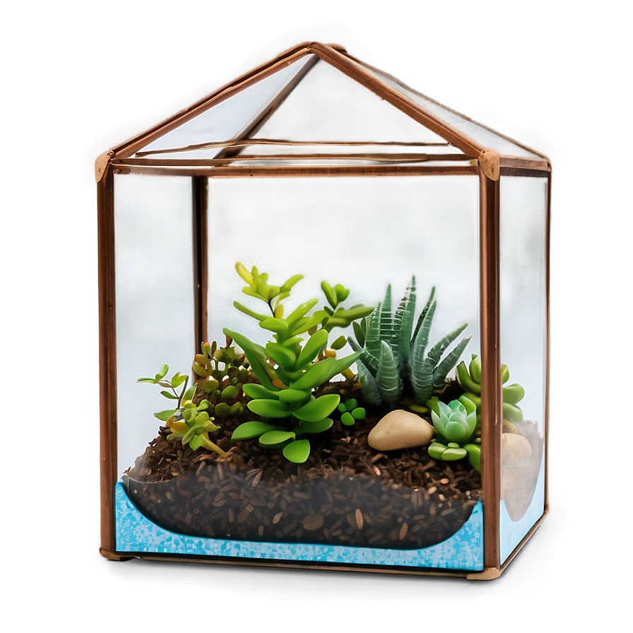 Handmade Glass Terrarium Box Png Tjl PNG Image