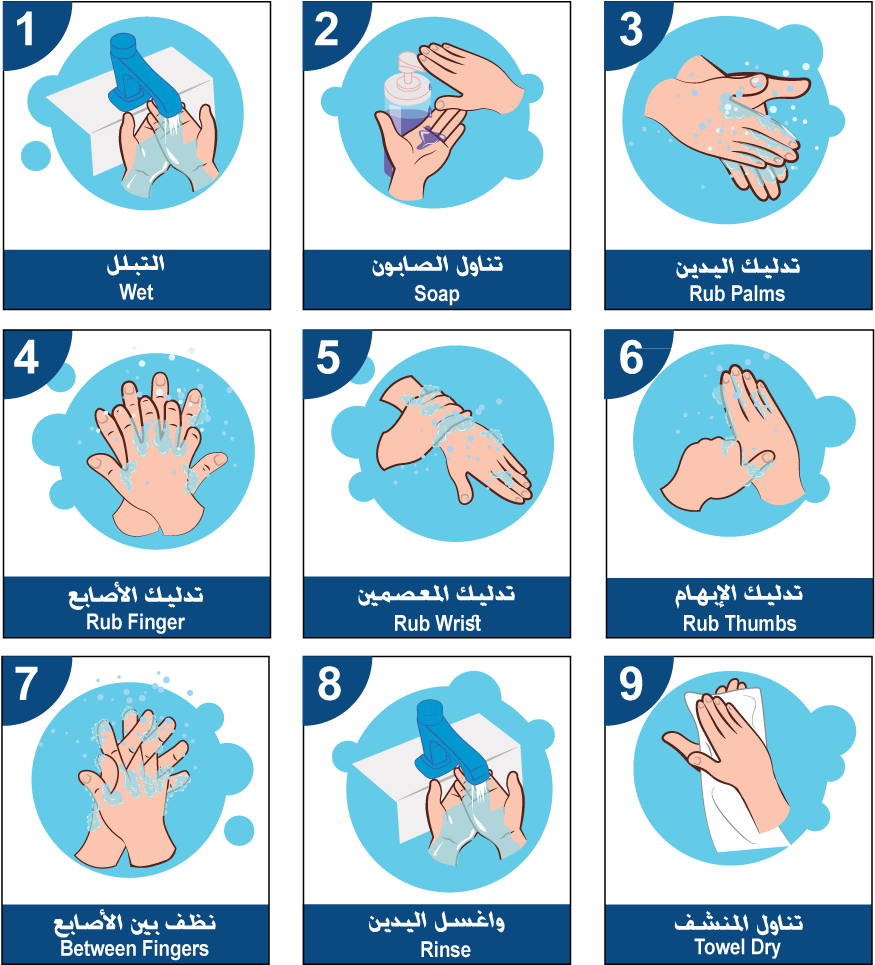 Handwashing Steps Illustration PNG Image