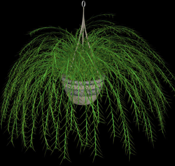 Hanging Fernin White Planter PNG Image