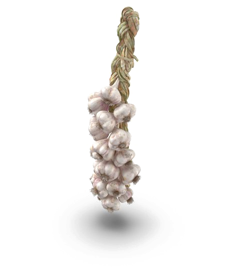 Hanging Garlic Braid PNG Image