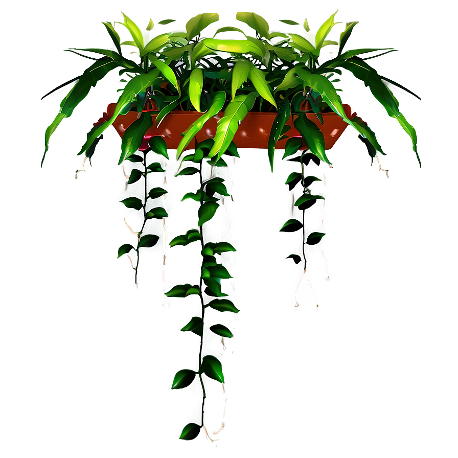 Hanging Plant Arrangement Png 05252024 PNG Image