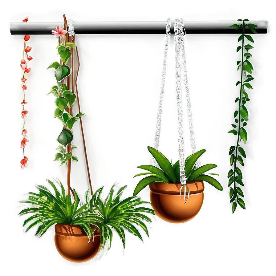 Hanging Plant Arrangement Png 46 PNG Image