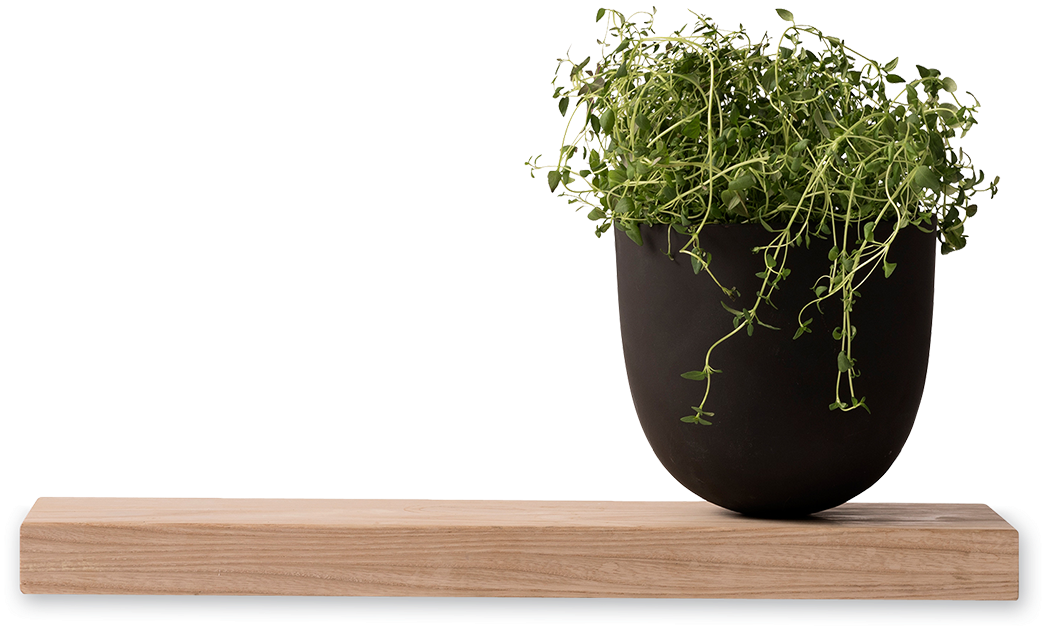 Hanging Plantin Black Pot PNG Image