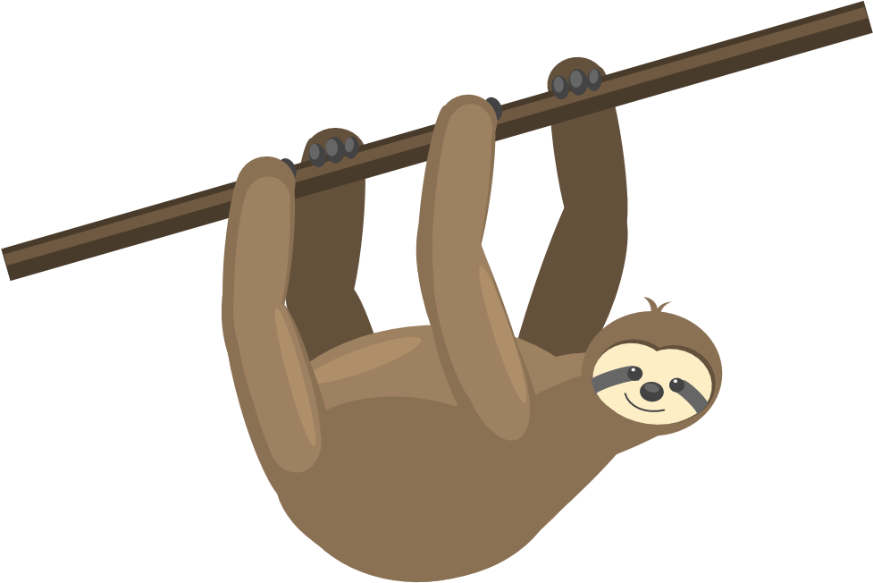 Hanging Sloth Cartoon PNG Image