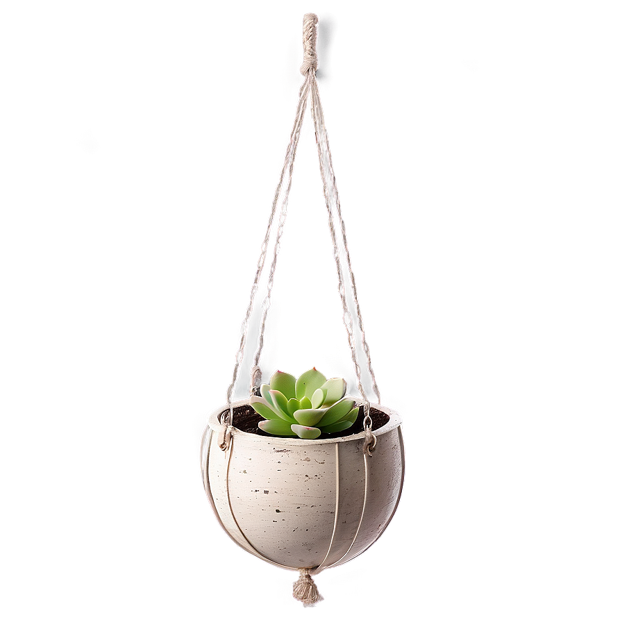 Hanging Succulent Baskets Png 31 PNG Image