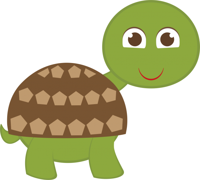 Happy Cartoon Tortoise PNG Image