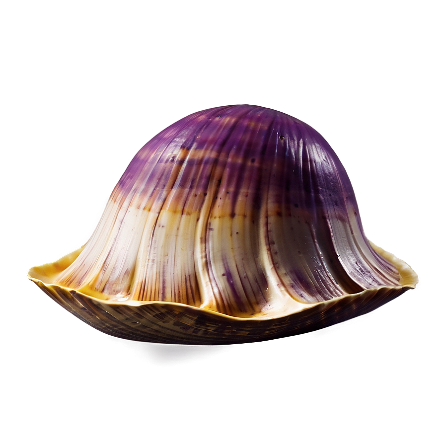 Happy Clam Cartoon Png Ckn65 PNG Image