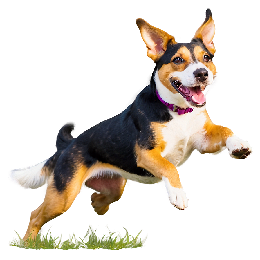 Happy Dog Running Png Iwj PNG Image