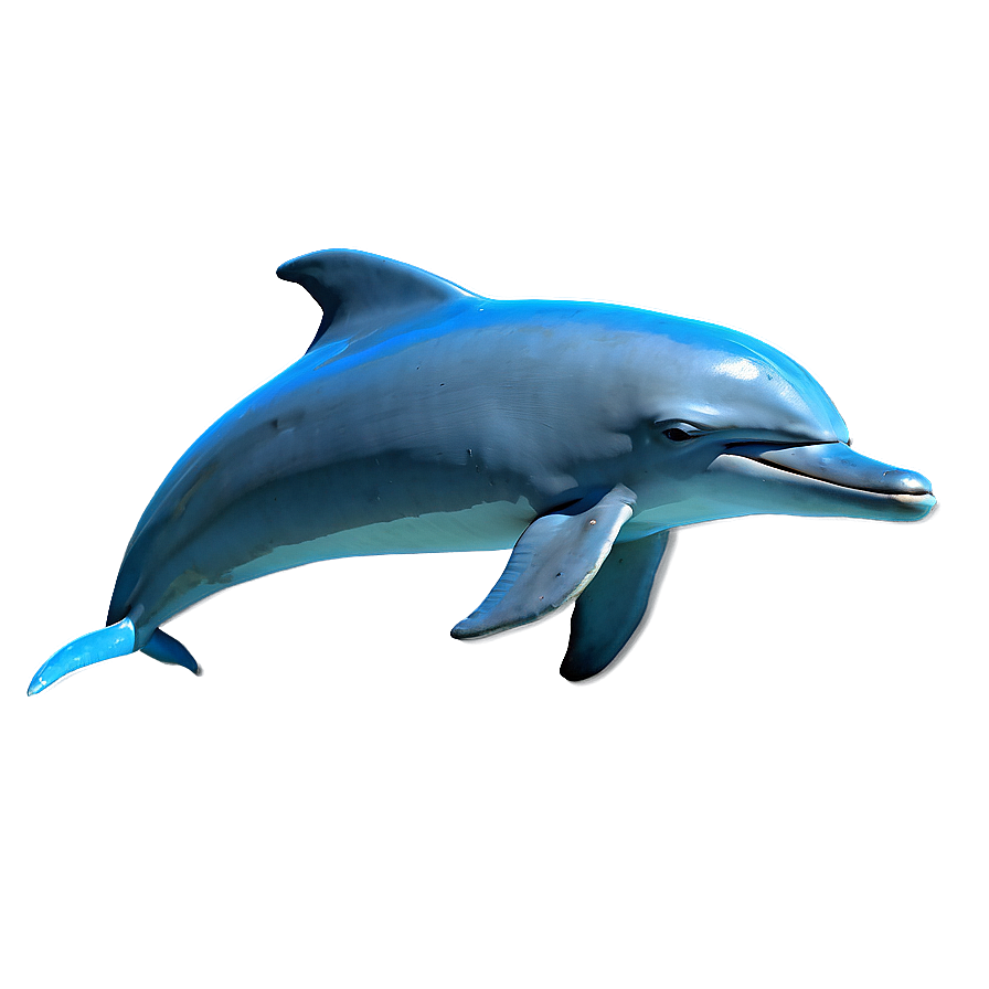 Happy Dolphins Png 06112024 PNG Image