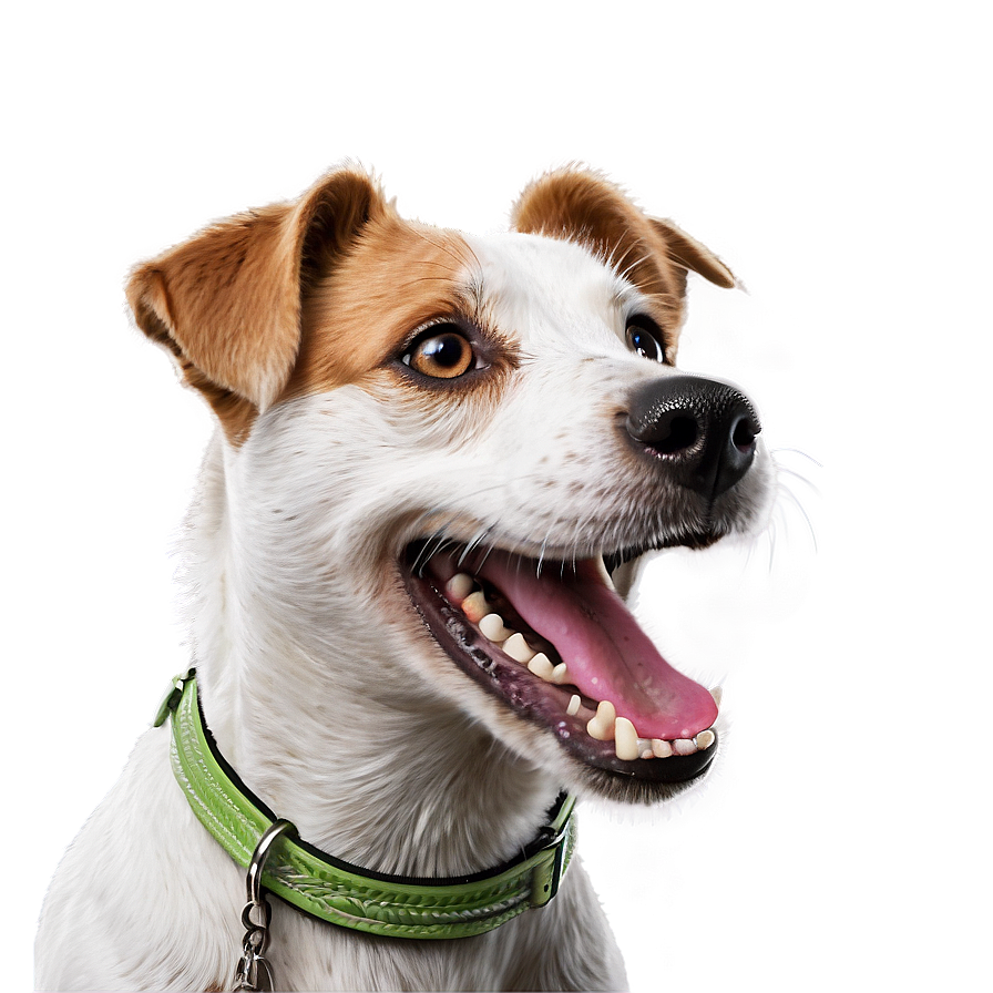 Happy Jack Russell Dog Png 29 PNG Image