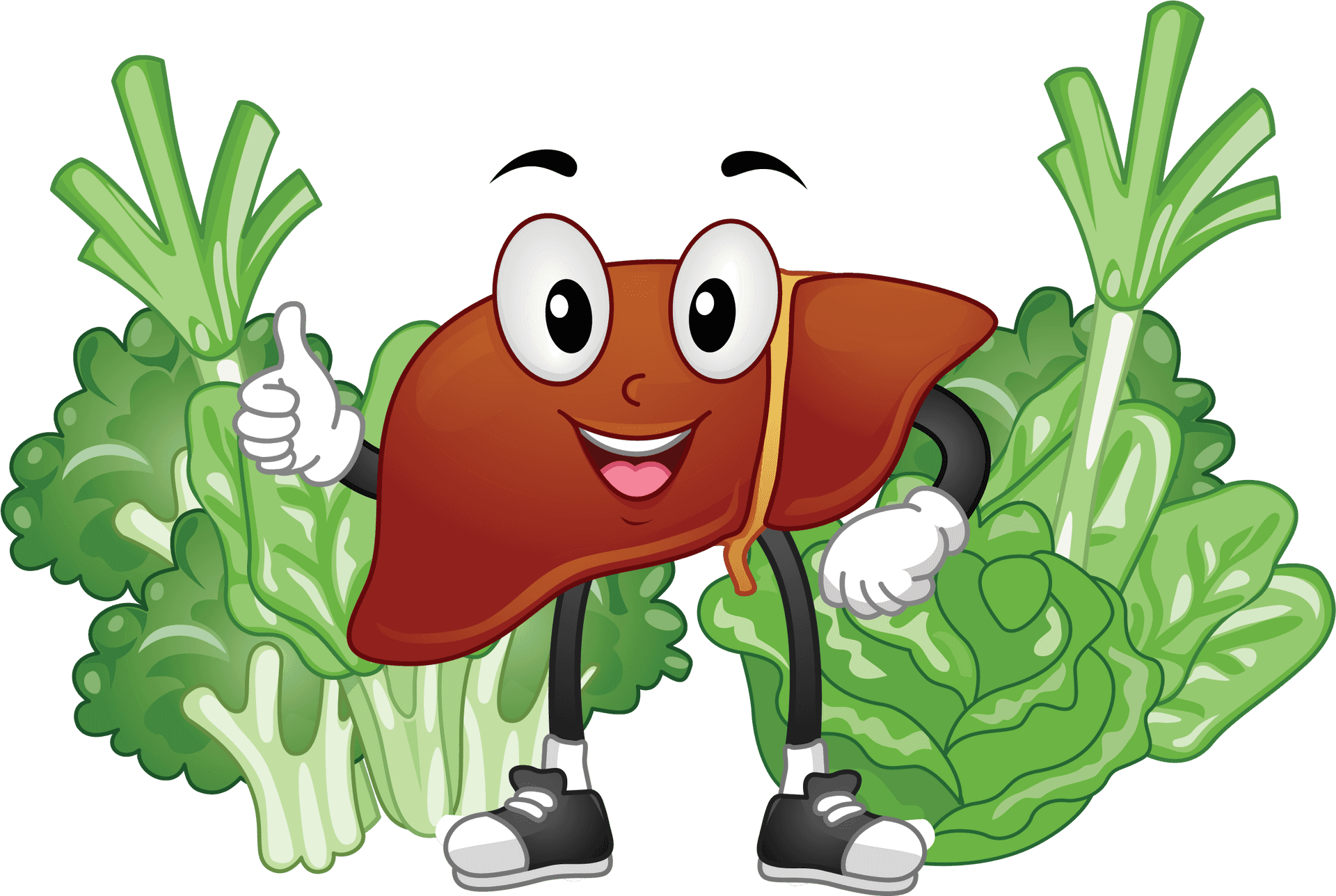 Happy Liver Character With Greens PNG Image