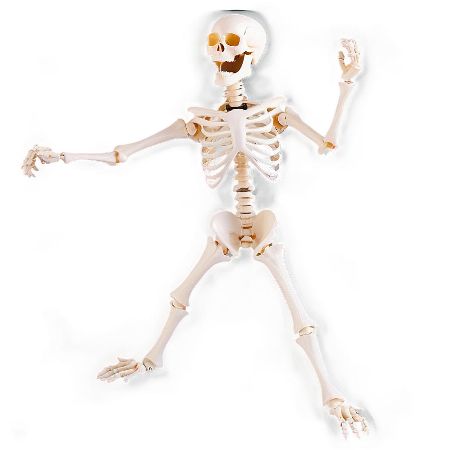 Happy Skeleton Dancing Png 34 PNG Image