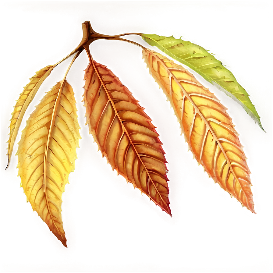 Harvest Leaves Png 4 PNG Image