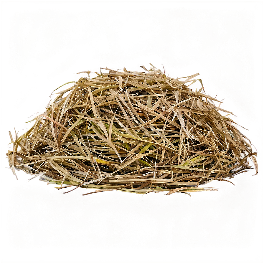 Harvested Hay Circle Png Xml37 PNG Image