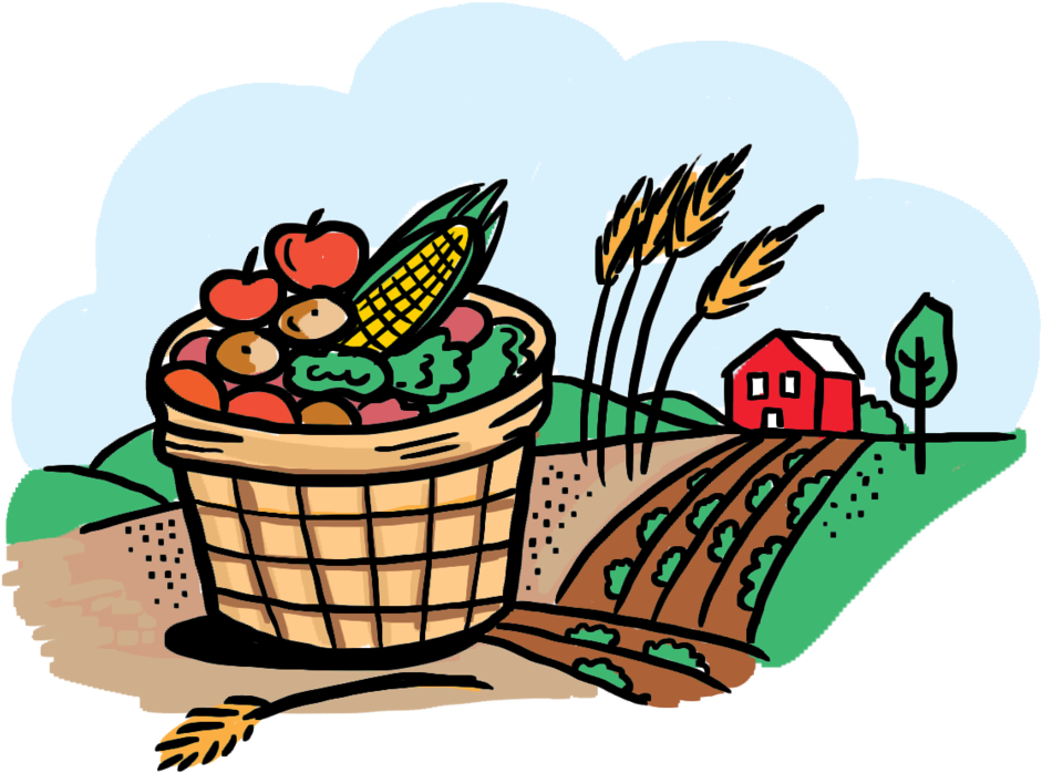 Harvested Produce Farm Scene PNG Image