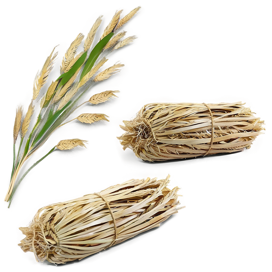 Harvested Trigo Sheaves Png Rnm PNG Image