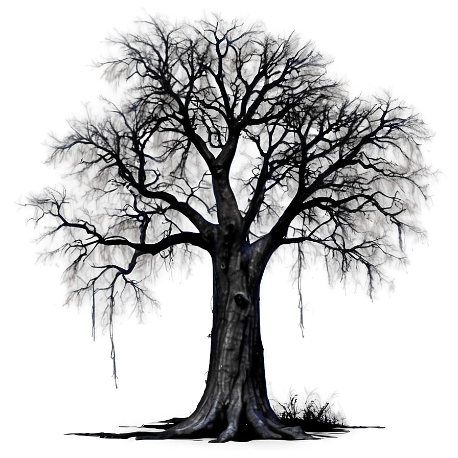 Haunted Black Tree Png 06212024 PNG Image