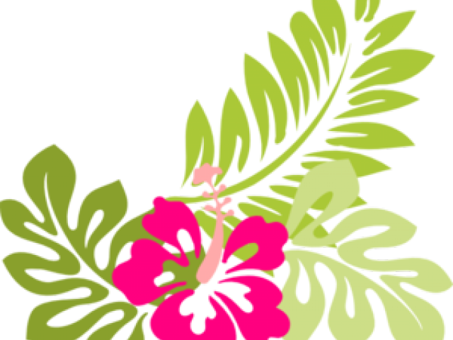 Hawaiian Hibiscus Floral Design PNG Image