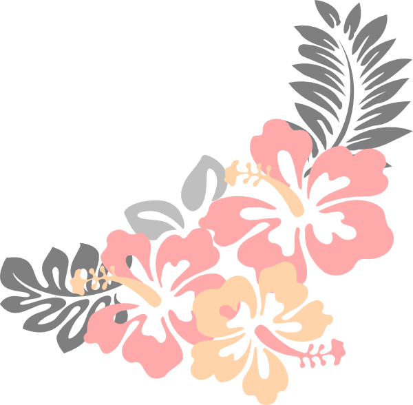 Hawaiian_ Hibiscus_ Floral_ Illustration PNG Image