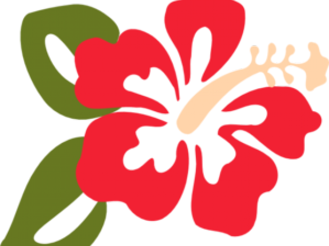 Hawaiian_ Hibiscus_ Flower_ Illustration PNG Image