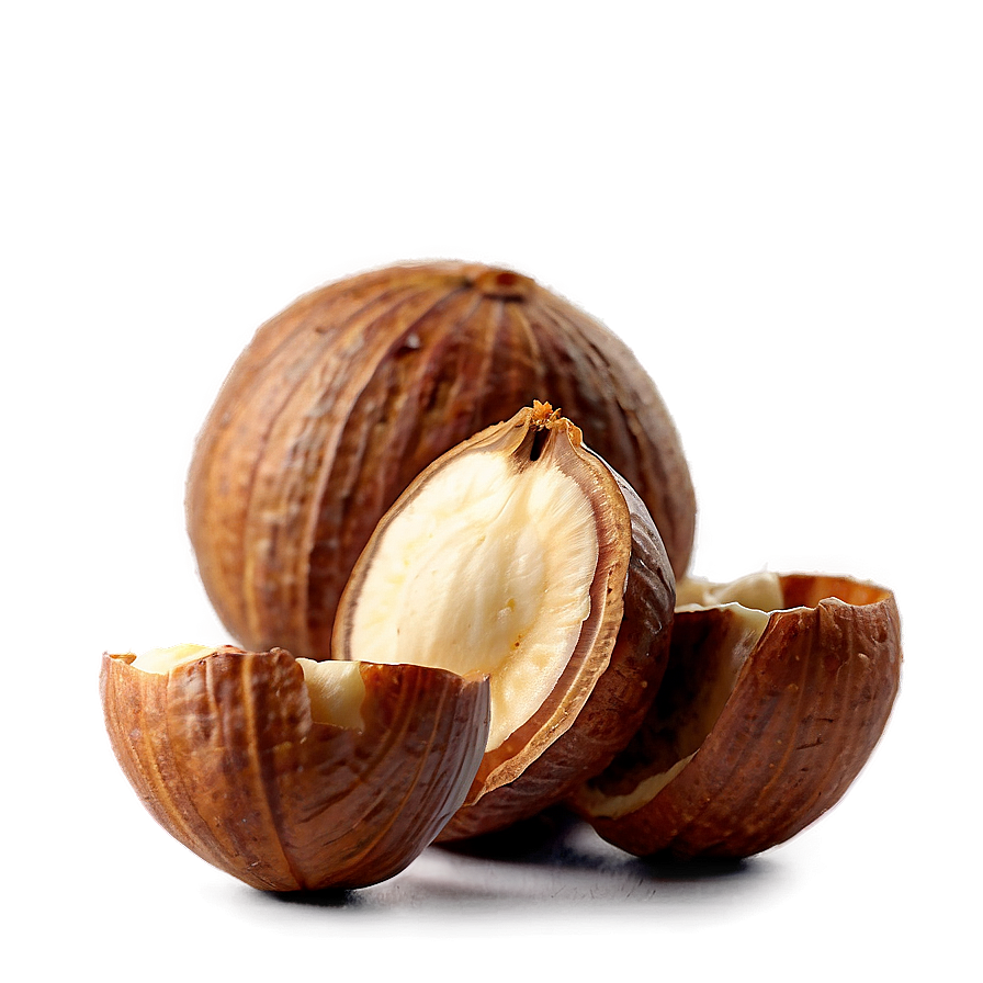 Hazelnut Png Uik81 PNG Image