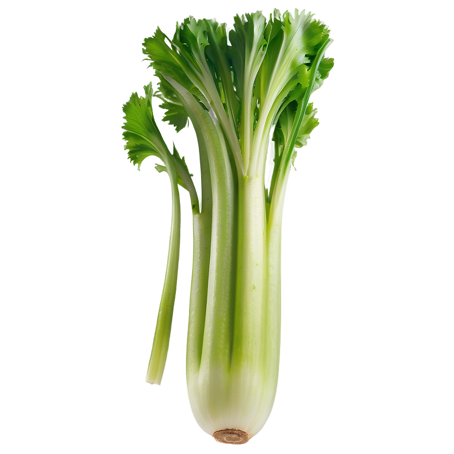 Healthy Celery Png 88 PNG Image