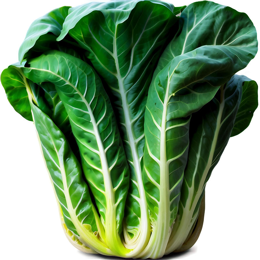 Healthy Collard Greens Png Epo23 PNG Image