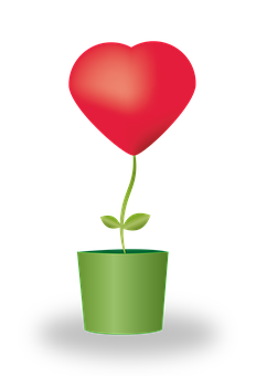 Heart Plant Growth Concept PNG Image