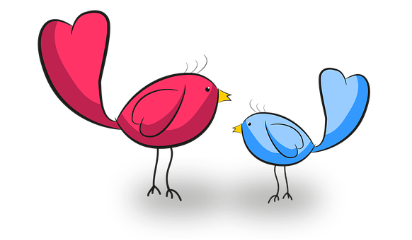 Heart Shaped Birds Illustration PNG Image